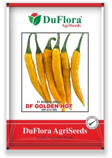 DF Golden Hot (DF-613 CH) Hy Yellow Chilli 